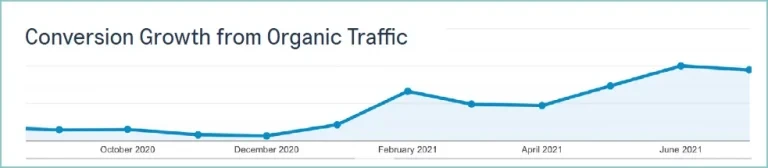ROI Hunt- Ecommerce SEO Case Study for Beauty Brand_