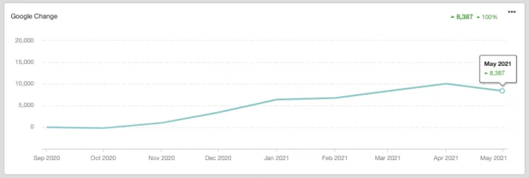 ROI Hunt- SEO Case Study for Real State